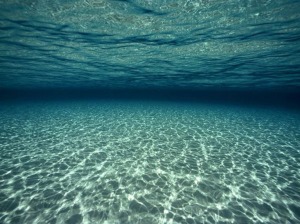 underwater_cayman_islands_wallpaper-normal